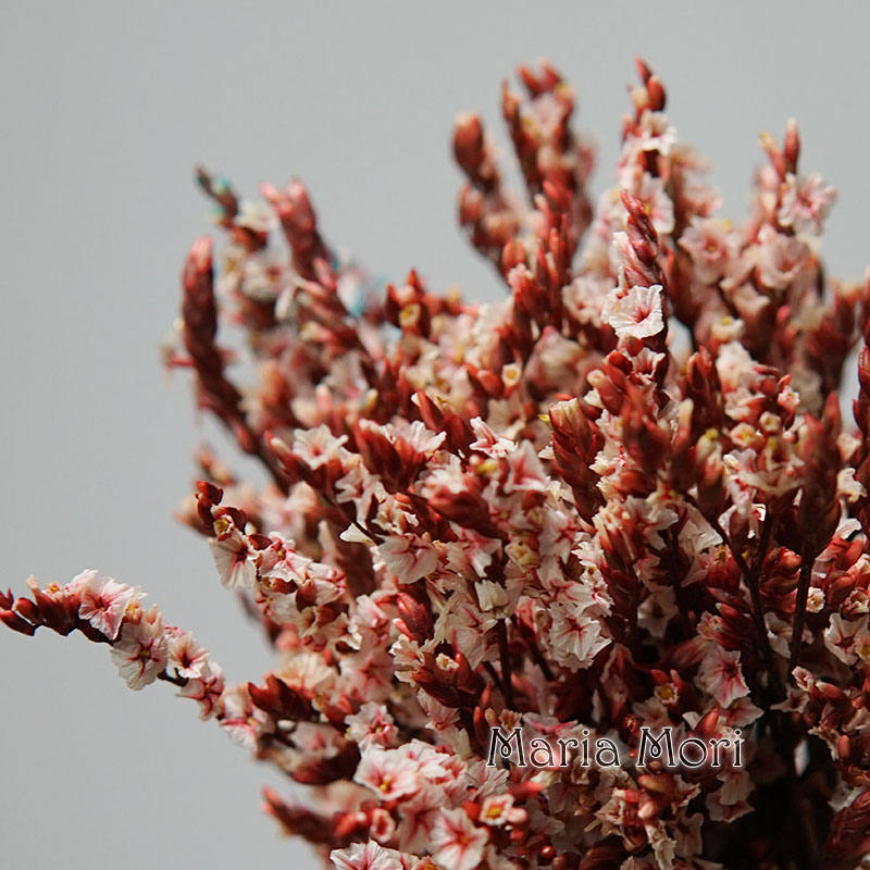 Dried Flower Bunch - 5g/ Colorful Dired Preserved Crystal Grass