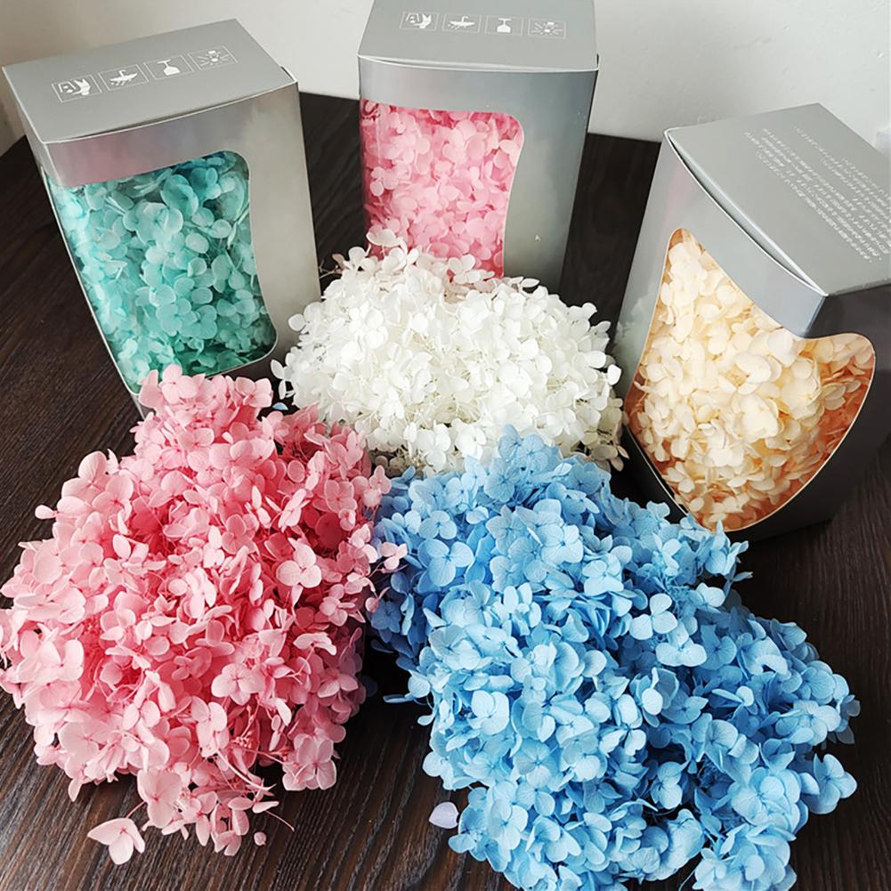Dried Flower Bunch - 1 Box Hydrangea Dried Flowers Preserved