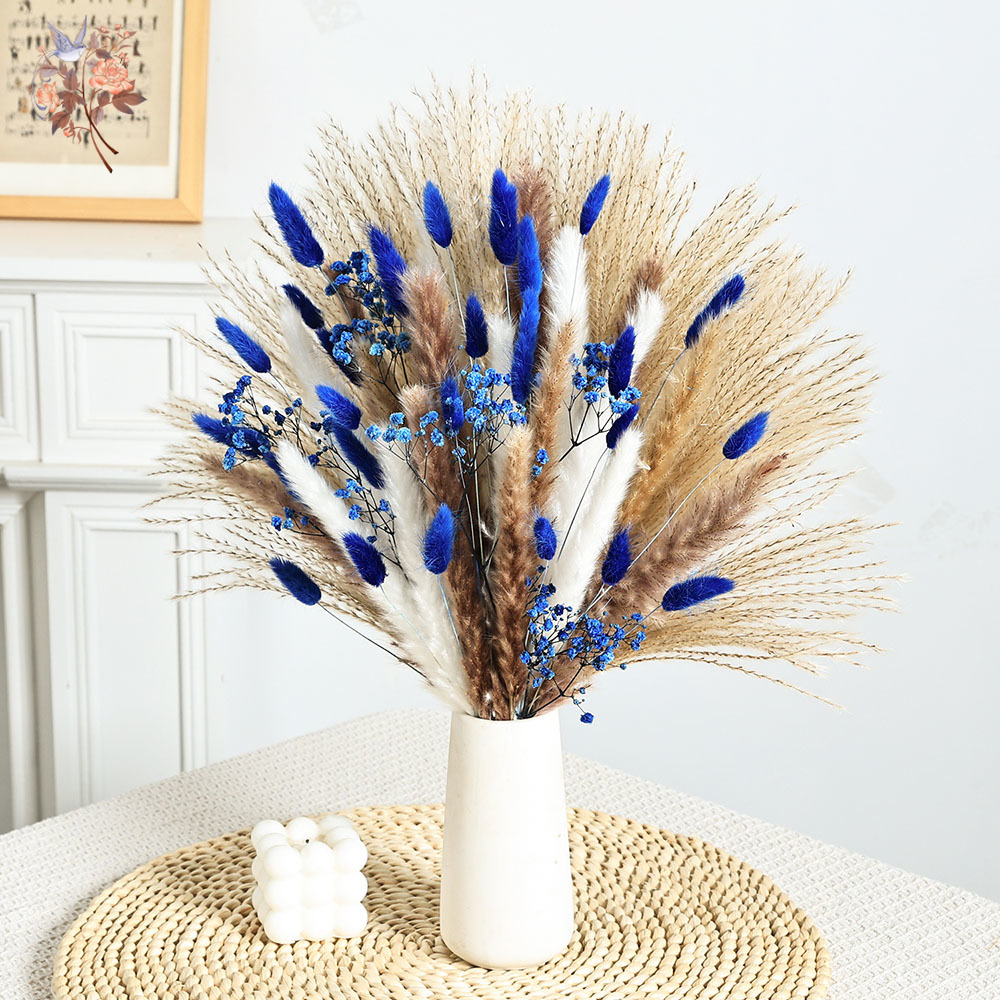 70 Stem Blue Fluffly Rabbit Ta - đánh giá và giá Dried Flower Bunch