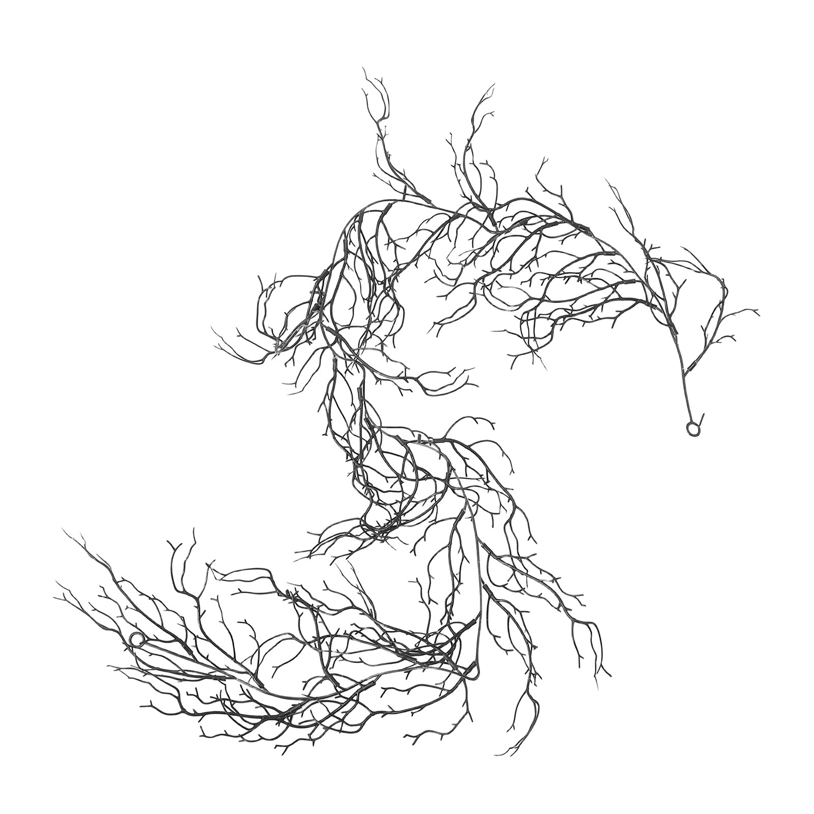 Flexible Black Curly Willow Br - đánh giá và giá Branch Curly Willow