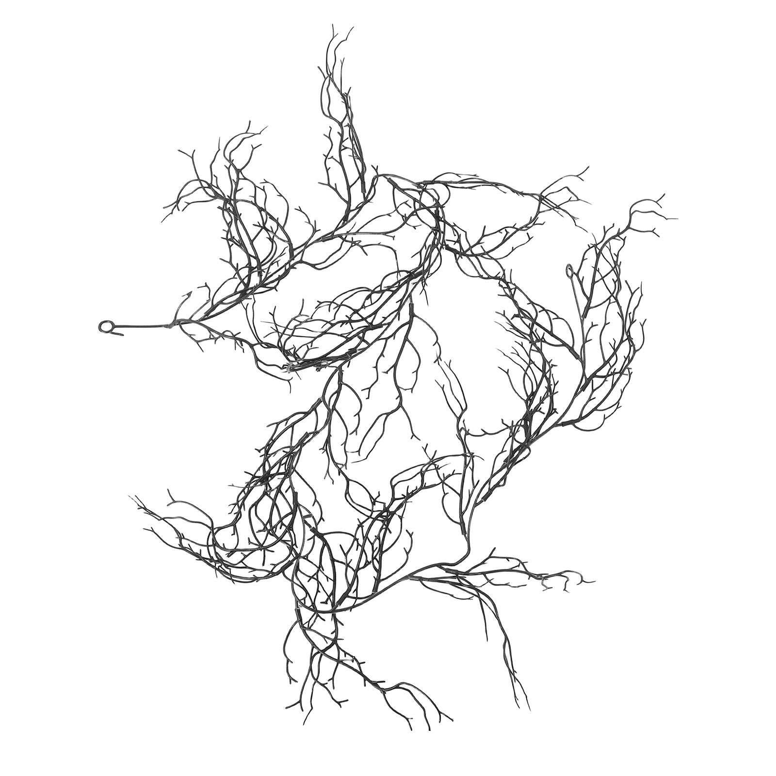 Flexible Black Curly Willow Br - đánh giá và giá Branch Curly Willow