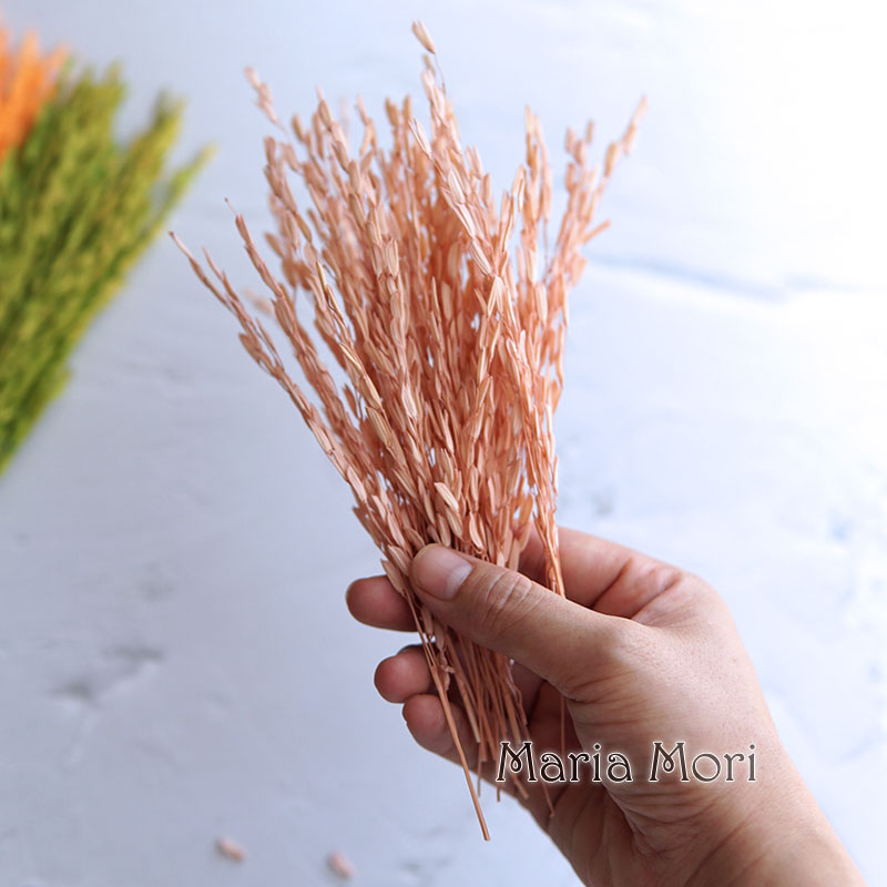 5g/Broomcorn Dyed Dried Nature - đánh giá và giá Dried Flower Bunch