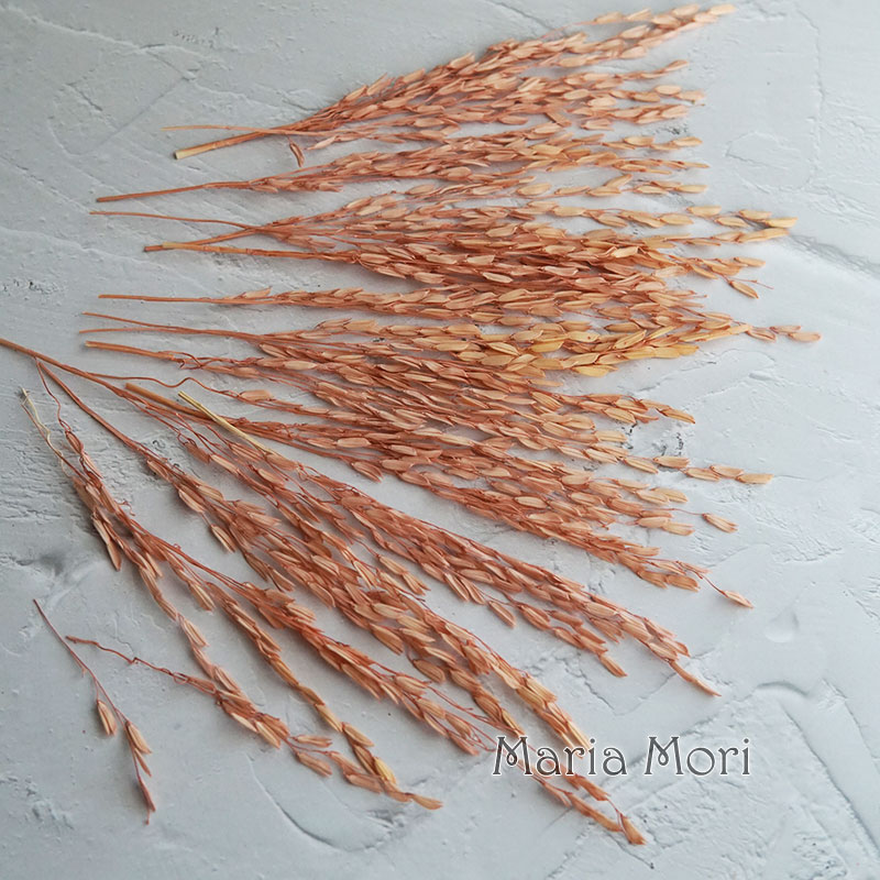 5g/Broomcorn Dyed Dried Nature - đánh giá và giá Dried Flower Bunch