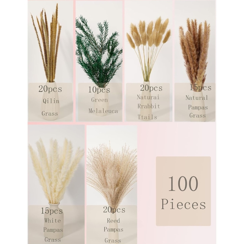 Số Lượng Lớn 100 Chiếc Cỏ Pamp - đánh giá và giá Dried Flower Bunch