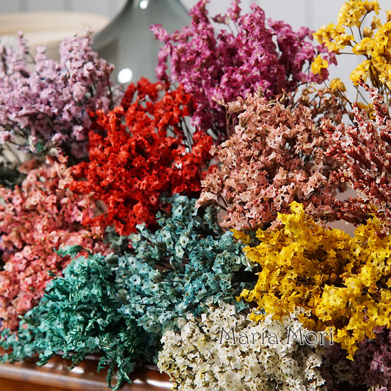 5g/ Colorful Dired Preserved C - đánh giá và giá Dried Flower Bunch