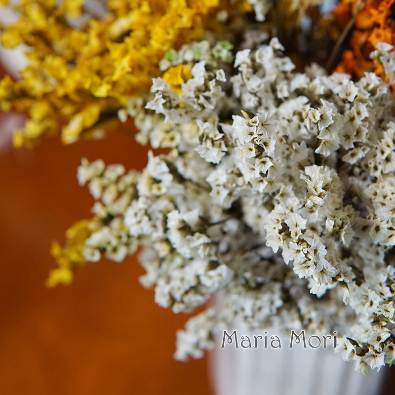 5g/ Colorful Dired Preserved C - đánh giá và giá Dried Flower Bunch
