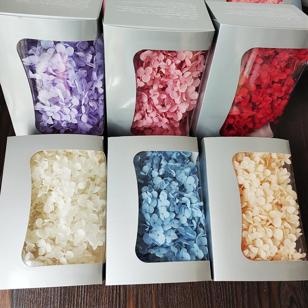 1 Box Hydrangea Dried Flowers  - đánh giá và giá Dried Flower Bunch