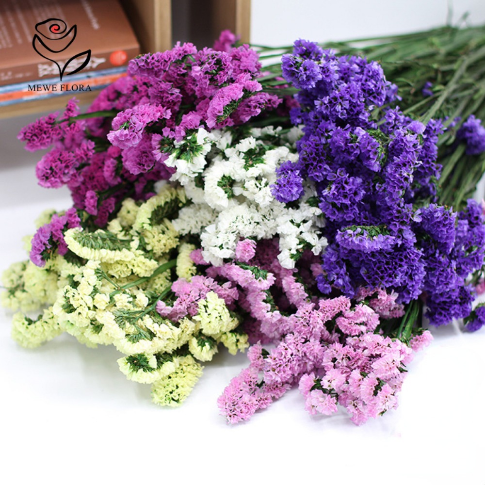 100g Dried Forget Me Not Flowe - đánh giá và giá Dried Flower Bunch