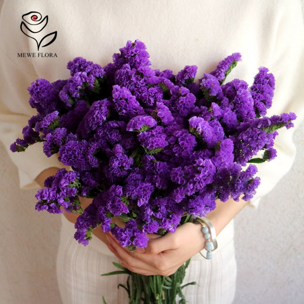 100g Dried Forget Me Not Flowe - đánh giá và giá Dried Flower Bunch