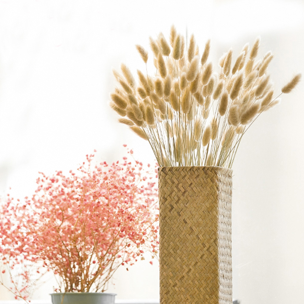 200pcs natural dried Lagurus o - đánh giá và giá Dried Flower Bunch
