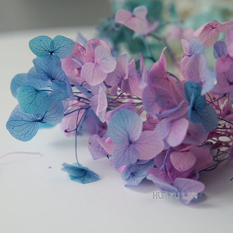 Ombre Gradient Dried Preserved - đánh giá và giá Dried Flower Bunch