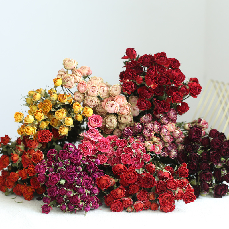 Rất Nhiều Trang Trí Sấy Khô Tự - đánh giá và giá Dried Flower Bunch