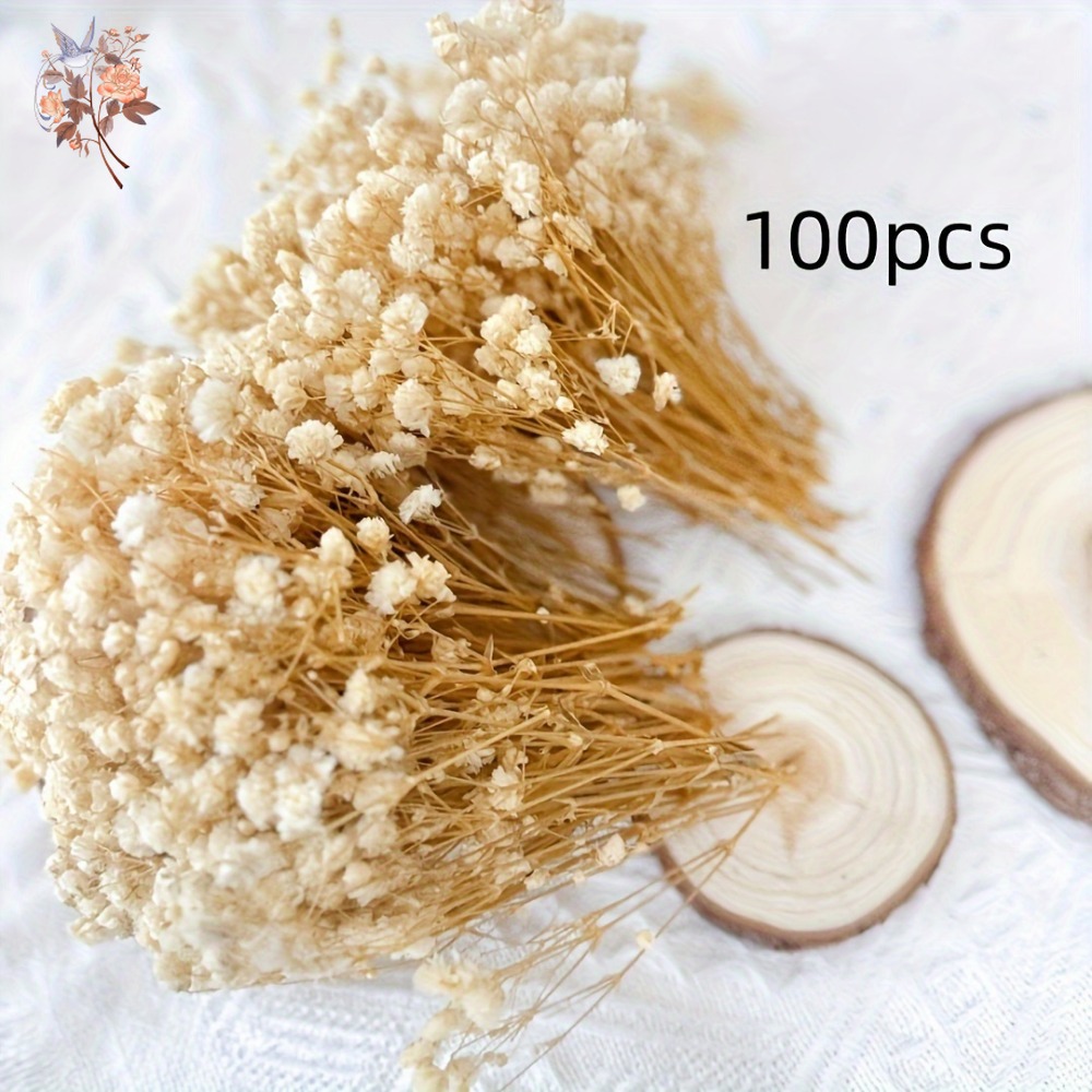 100pcs Mini Dried Baby's Breat - đánh giá và giá Dried Flower Bunch
