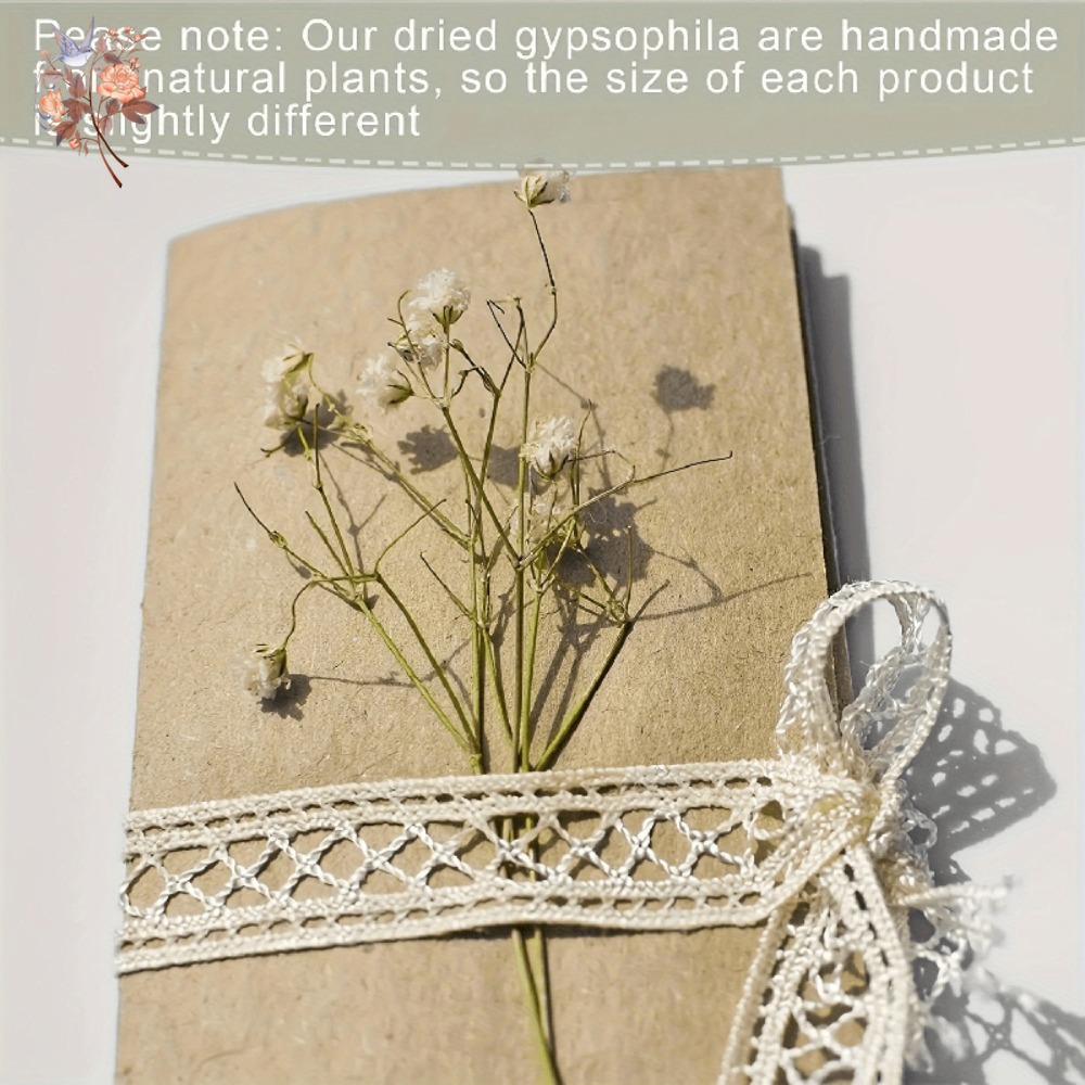 100pcs Mini Dried Baby's Breat - đánh giá và giá Dried Flower Bunch